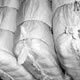woven sacks,woven sacks manufacturer,woven sack industries in India, woven sacks suppliers,woven sack bags,woven sack, woven sack manufacturers,woven sack suppliers india woven sacks,woven sacks manufacturer,woven sack industries in India, woven sacks suppliers,woven sack bags,woven sack, woven sack manufacturers,woven sack suppliers india